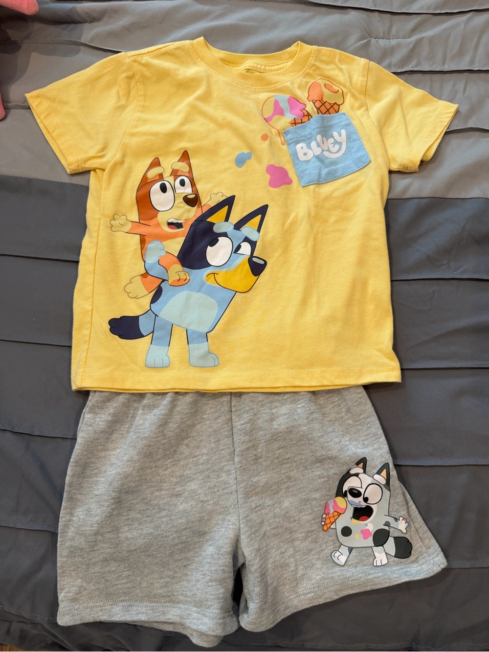 Bluey outfit